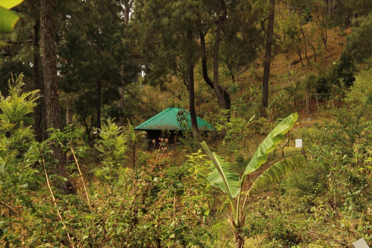 Heal Farm - Himalayan Eco Alternative Lifestyle For Agriculture Recreation And Meditation Nainital Extérieur photo
