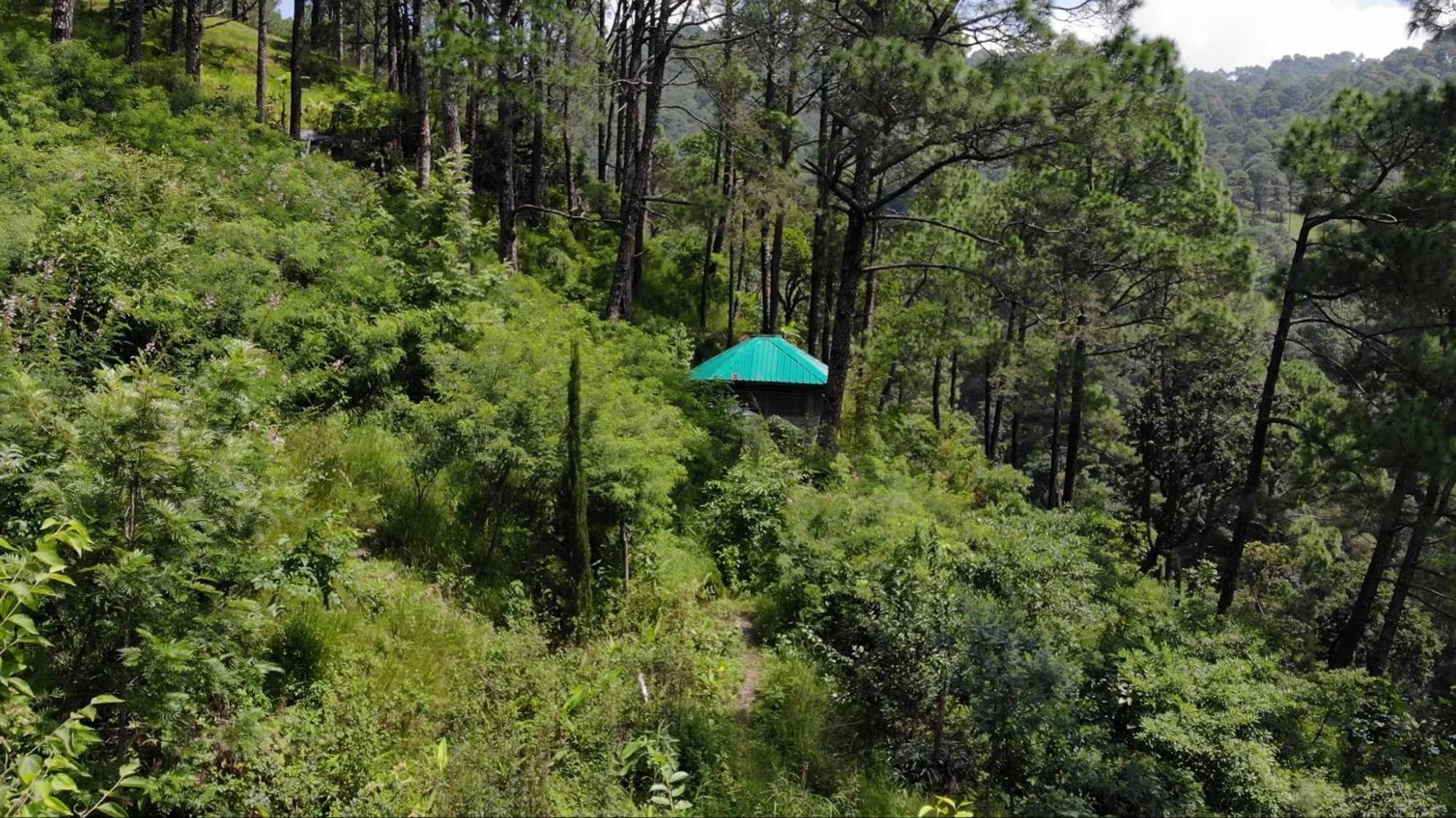 Heal Farm - Himalayan Eco Alternative Lifestyle For Agriculture Recreation And Meditation Nainital Extérieur photo